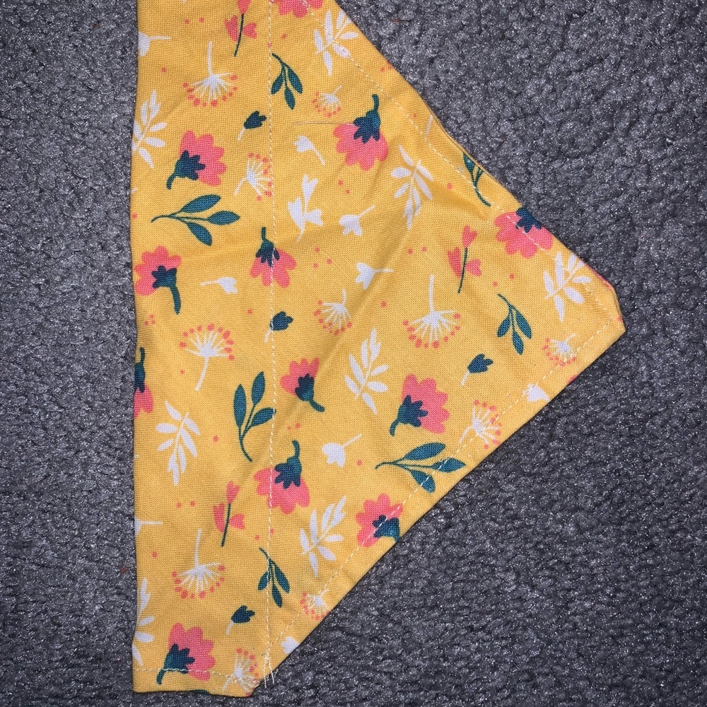 Over the collar bandanna
